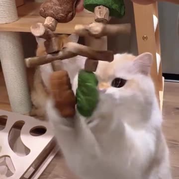 Funny Feline Cat Toy Fish Bone Catnip Wood Teething Stick