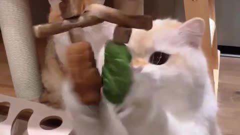Funny Feline Cat Toy Fish Bone Catnip Wood Teething Stick