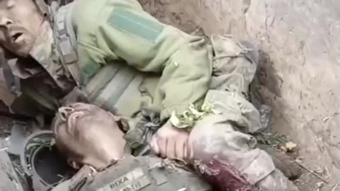 Sweet couple of fairies are sleeping