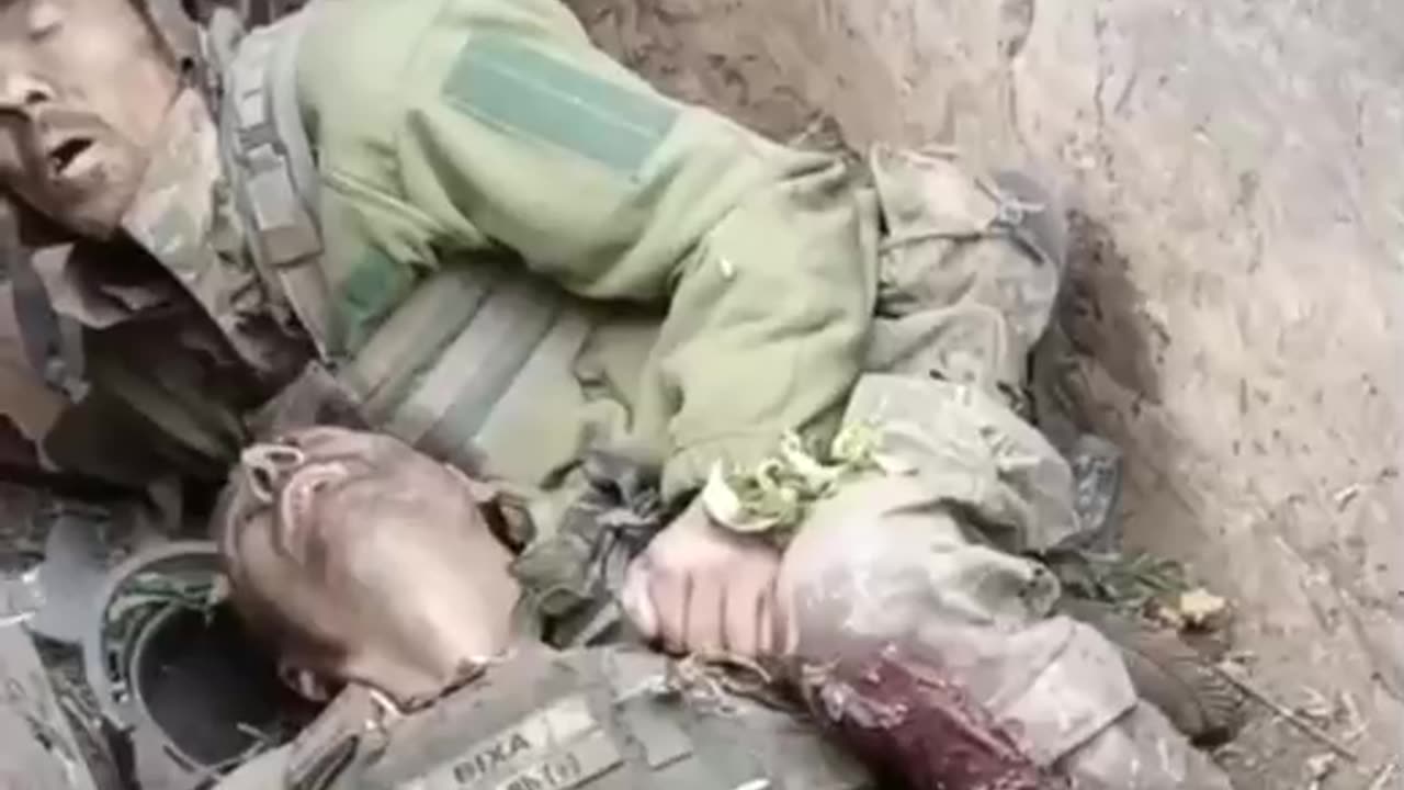 Sweet couple of fairies are sleeping