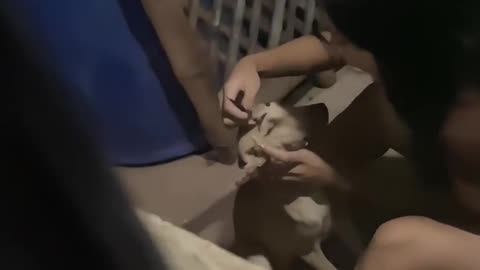 😂🤪 What is SHE Doing?! | FunFM