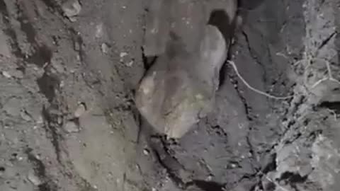 ancient tomb discovery in Mexico with many strange alien carvings.