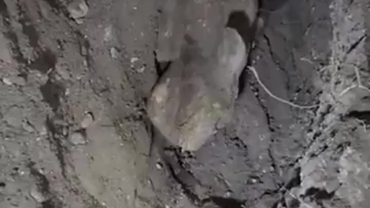 ancient tomb discovery in Mexico with many strange alien carvings.