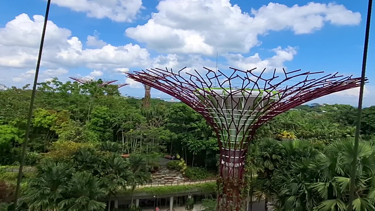 Singapore Side Trip Part 2: Harry Potter Magic, Universal Studios & Gardens by the Bay