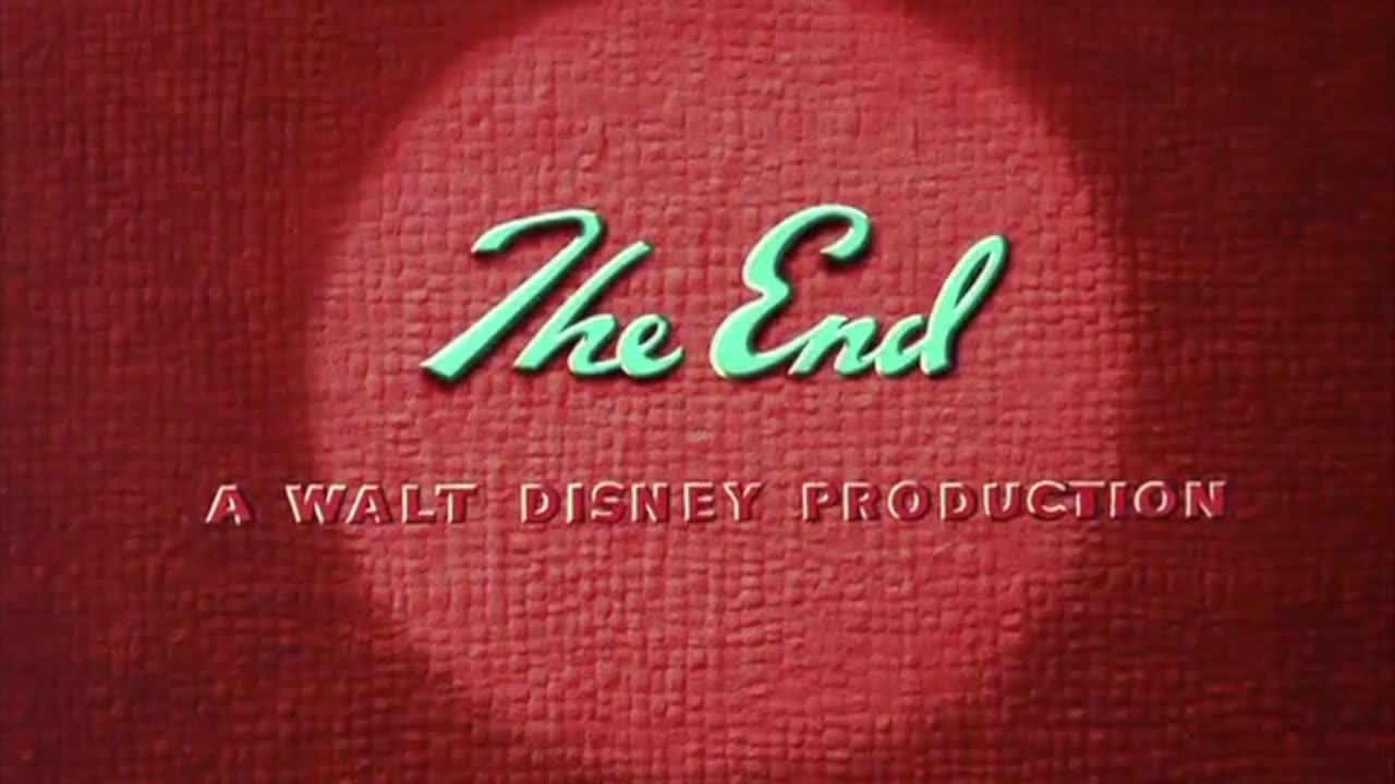 Donald Duck 5 Cartoons
