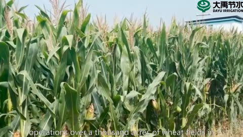 Dayu Agriculture | Technology empowers modern agriculture, Dayu saves water to create a new benchmar