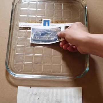 Tim Rifat TikTok Videos