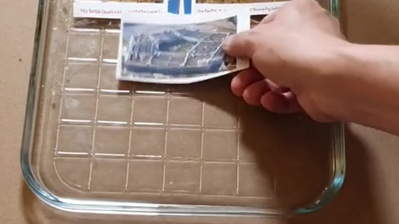 Tim Rifat TikTok Videos