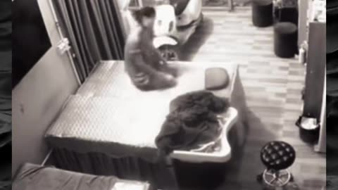 😱👻 The Scariest Paranormal Video You'll Ever Watch! | TheHauntingHour