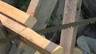 🌲 Passing the old ways to the young. 🪚