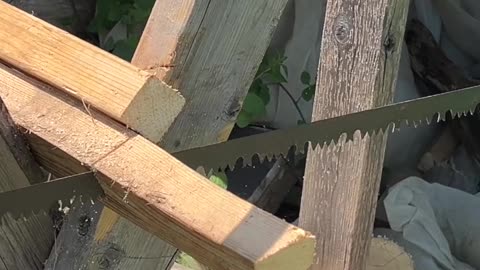 🌲 Passing the old ways to the young. 🪚