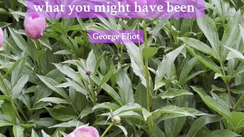 George Eliot 💕: Quote