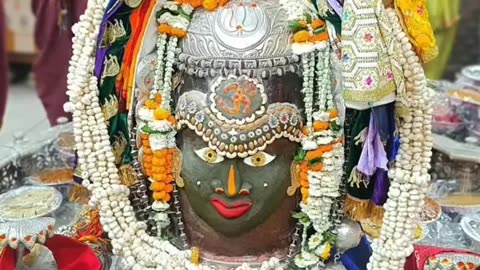 Mahakal special video for rang panchmi