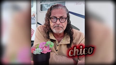 Narcissist Chronicles