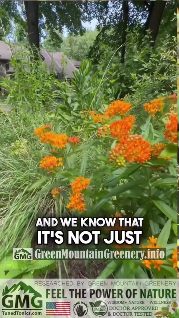 Natures Patterns Heal Darkness