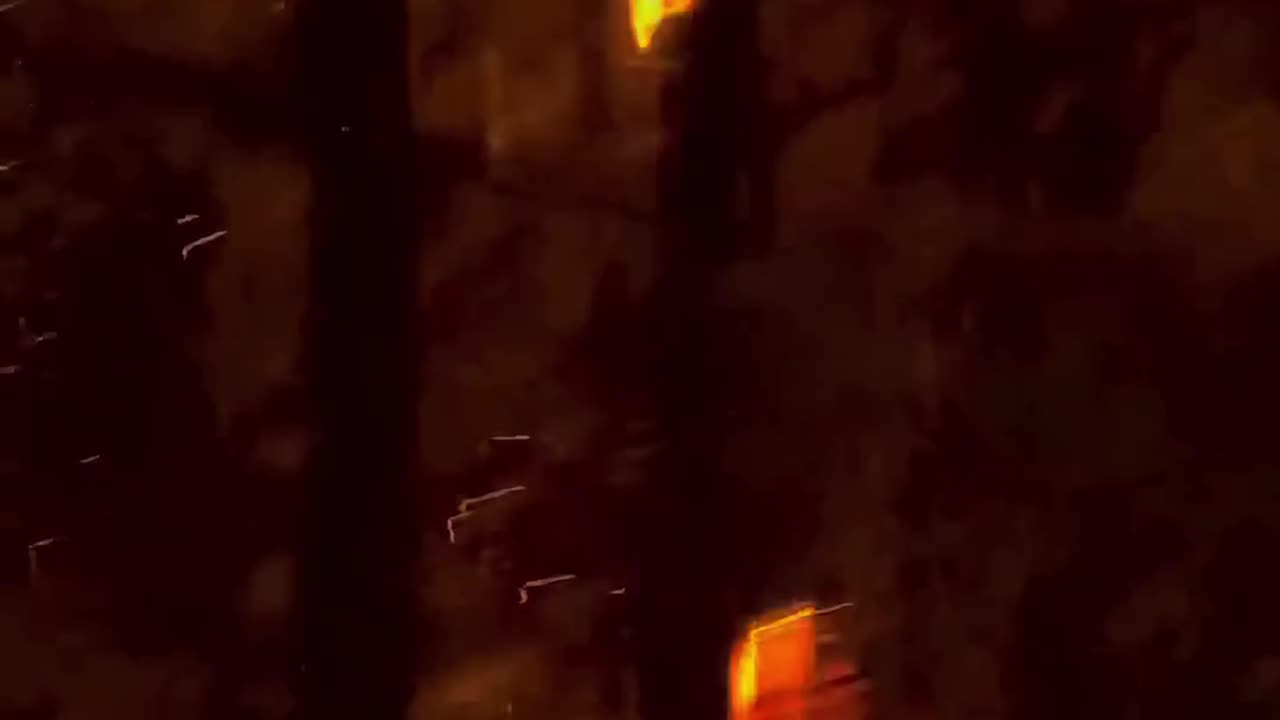 Tree Burning From the Inside Out