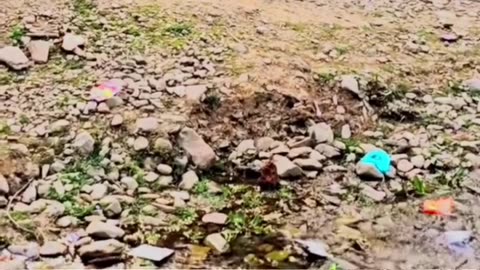 Sikayato se ghar nahi chalta hai