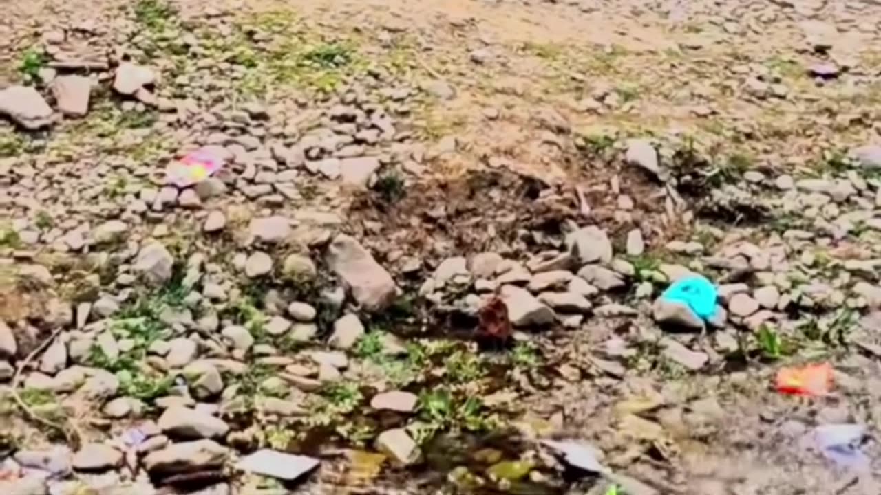 Sikayato se ghar nahi chalta hai