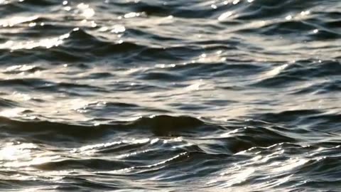 Daily Horoscope | Cancer 🌟