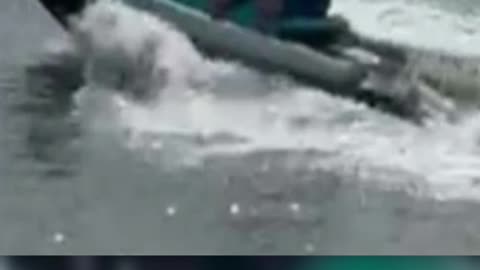 Cruise Passenger JUMPS OVERBOARD To Escape $16K Debt!
