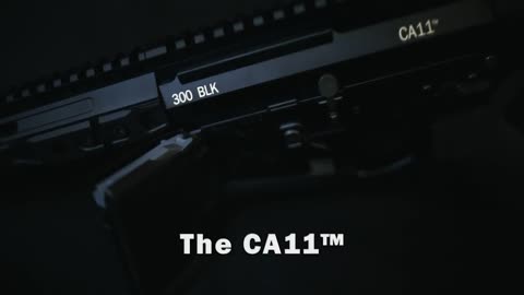 Franklin Armory® CA-11 - California's Only 300BLK AR Pistol