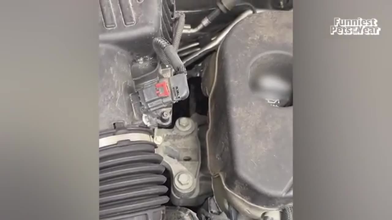 Hey you good to watch till the end