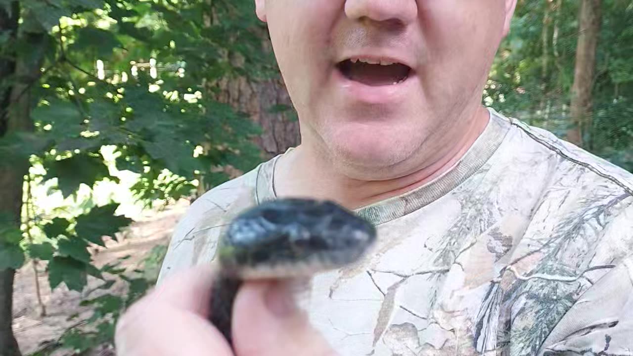 Caught an egg thief