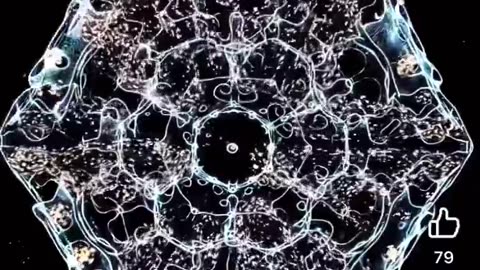 Bluntly Put Philosopher - A new @DavidSchiermey2 flat bubble Cymatic video just dropped on Face...