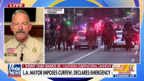 Since day one, we have been misled: CA sheriff