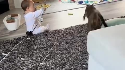 Cat Leaps Onto Toddler While Trying to Catch Its Toy