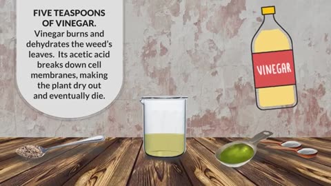 Just 1 Drop Kills Weeds Instantly – No Chemicals Needed!