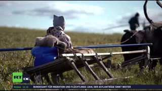 RT DE Live-TV