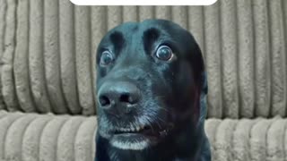 Why does my wife talk so much?