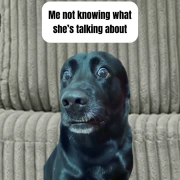 Why does my wife talk so much?