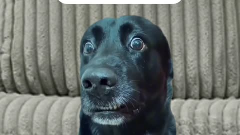 Why does my wife talk so much?