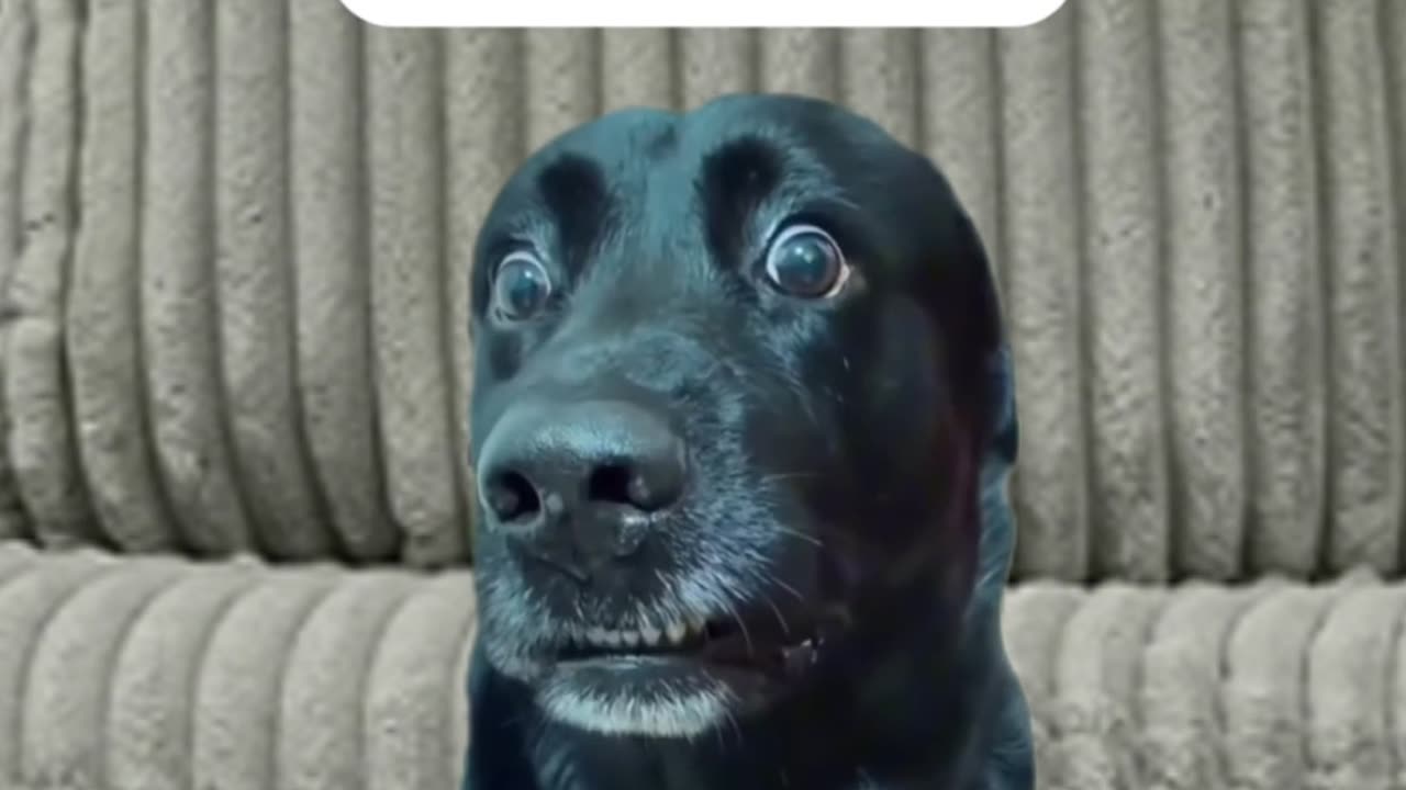 Why does my wife talk so much?