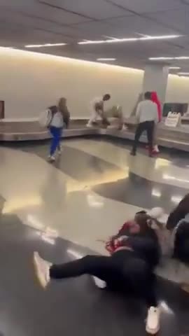 Luggage Department brawl at airport
