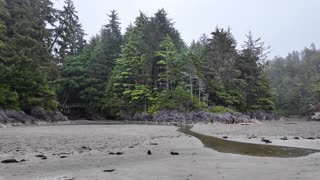TOFINO Vancouver Island British Columbia Canada travel adventures vlog