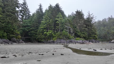 TOFINO Vancouver Island British Columbia Canada travel adventures vlog