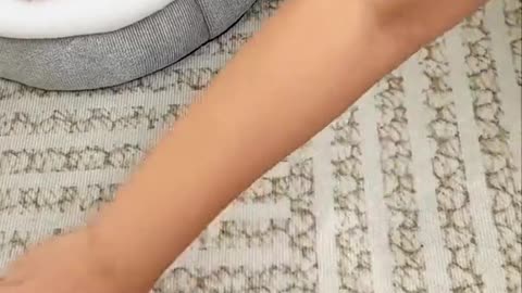 Pet Hair Remover roller