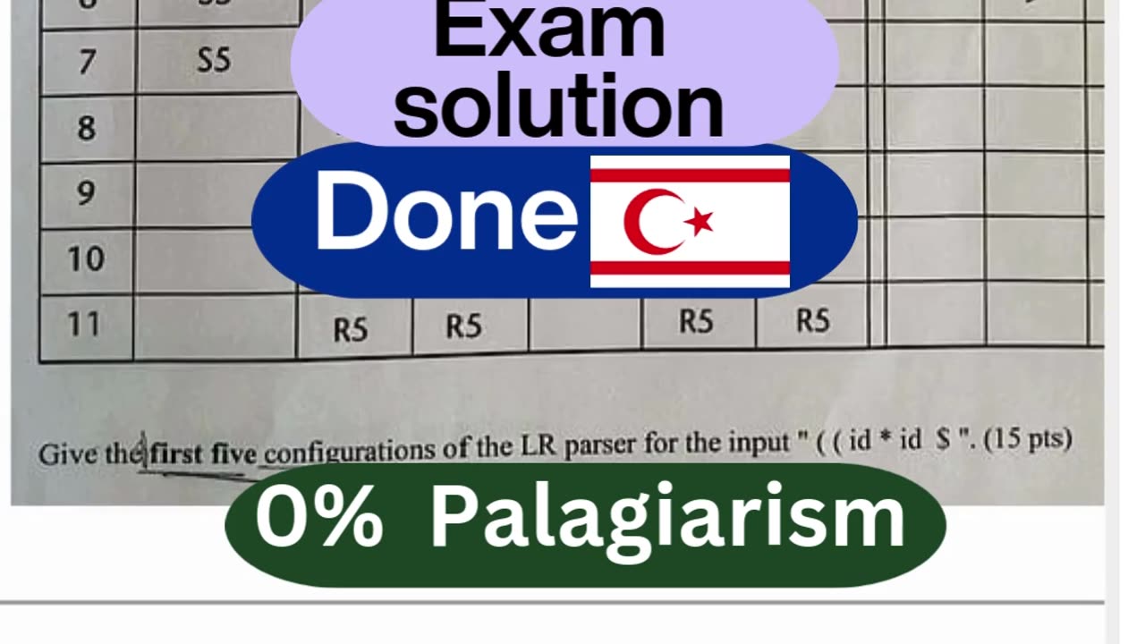 Student Work(Exam Solutions)) CMPE 318 Programming Security & System Protection | Northern cyprus