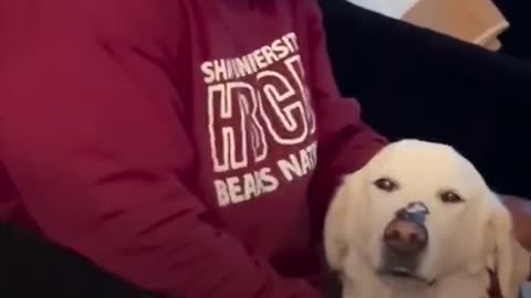 The purest form of love