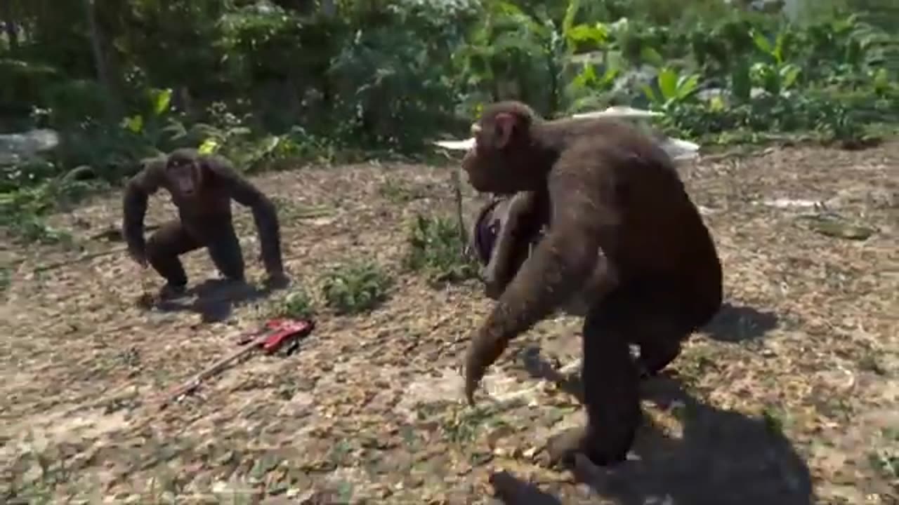 Coldplay - Adventure Of A Lifetime (Official Video)