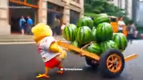 😥😢🐣Chick saves the baby👶from Accident😥🚗🚙