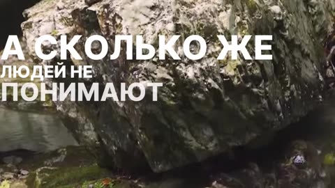 Почему выбор религии супруги так важен. Совет пророка
