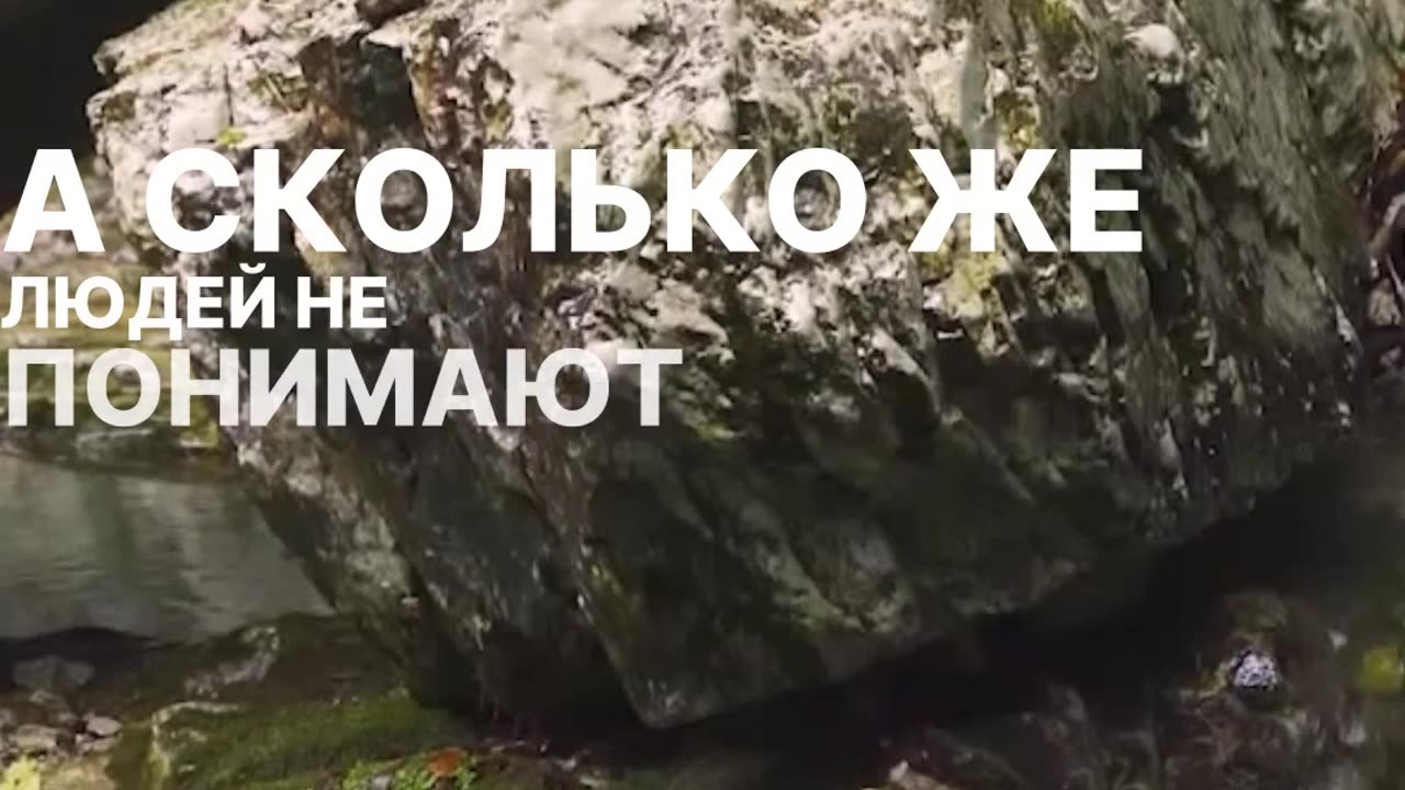 Почему выбор религии супруги так важен. Совет пророка