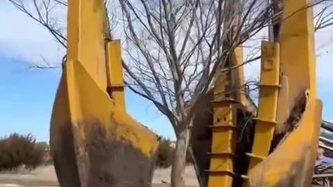 How Trees are Un pick Carefully