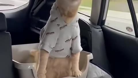 Funny