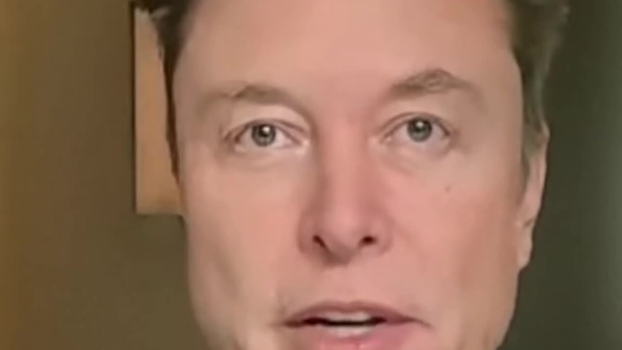 Elon Musk has split with Donald Trump on tariffs in the latest sign the billionaire