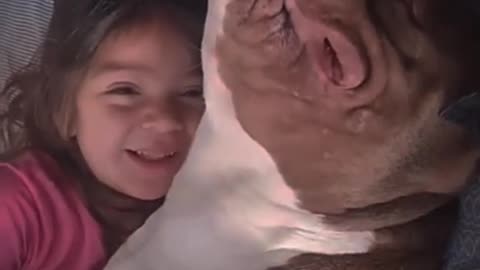 Pets That Will Make You Laugh/ Hilarious Pet/ Cutest Moments Ever 😂🐶 #Shorts